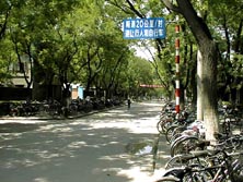 Looking down Beida walkway